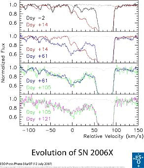 Spectrum of SN2006X