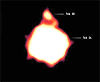 brown dwarf binary