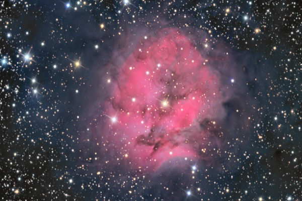 the Cocoon Nebula