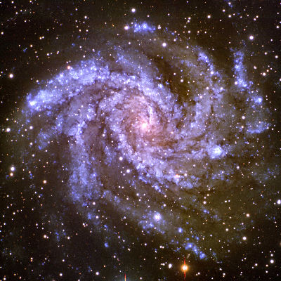 Galaxy NGC 6946