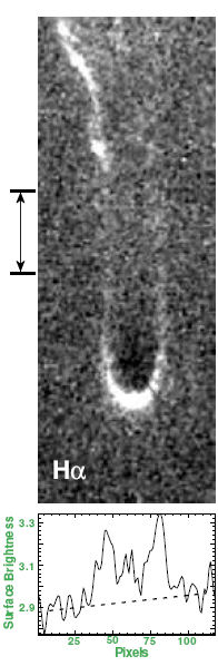 cometary knot in H ª