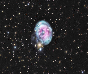 The Fetus Nebula