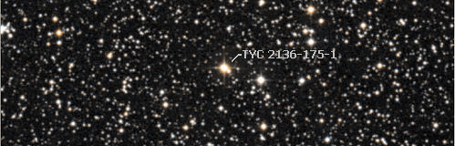 Image of TYC 2136-175-1