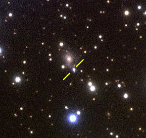 Supernova 2006gz