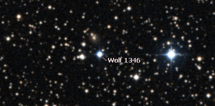Image of wolf 1346